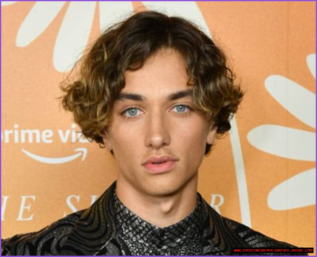 12 facts about The Summer I Turned Pretty actor you need to know