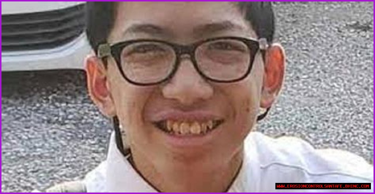15-Year-Old Gavin Le Died. His Death Was a Suicide