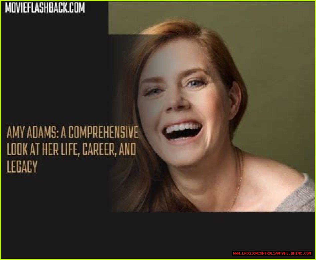 A Comprehensive Look At Amy Lumet: Life, Career, And Impact
