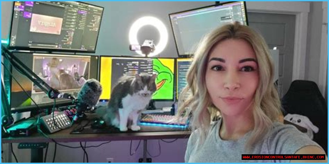 Alinity explains her side of Twitch cat scandal to CodeMiko: 'I deserved the hate'