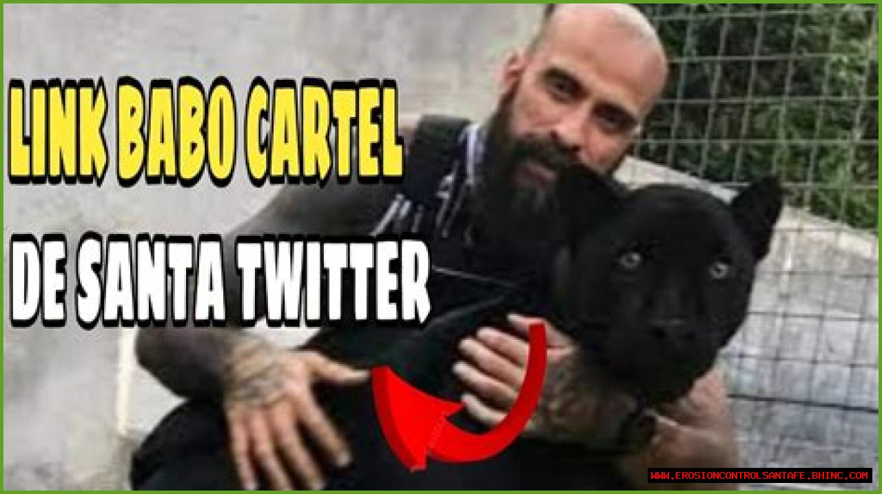Babo Cartel De Santa Video Twitter The Talks Today