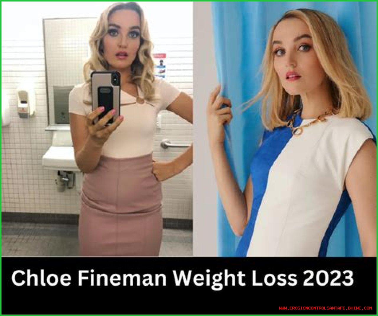 Chloe Fineman Weight Loss, Who is Chloe Fineman?