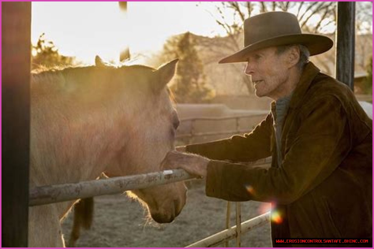 ‘Cry Macho’ Star Clint Eastwood Admits to Being Nervous About Riding Horses in New Movie