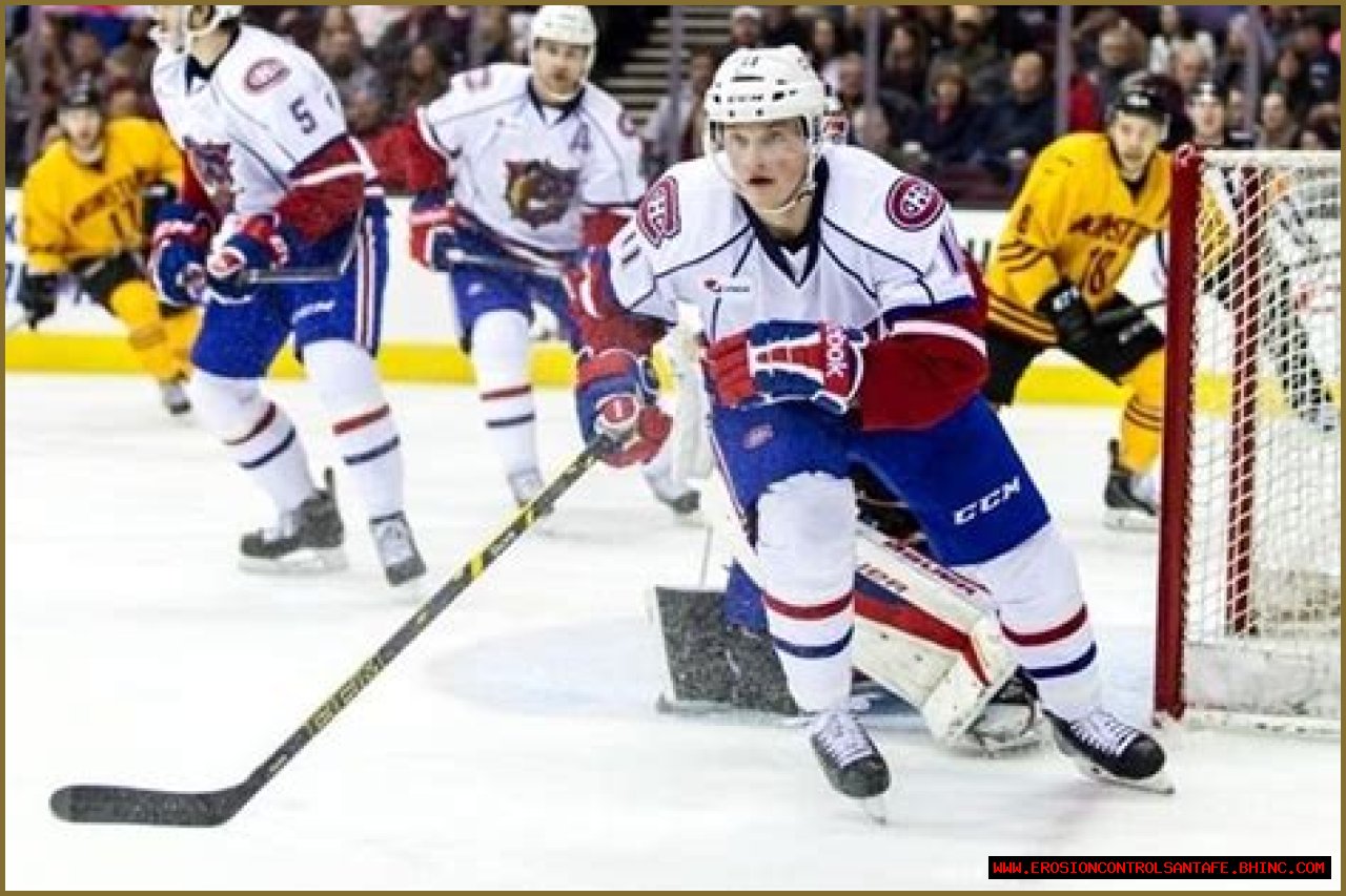 Daniel Carr (ice hockey)