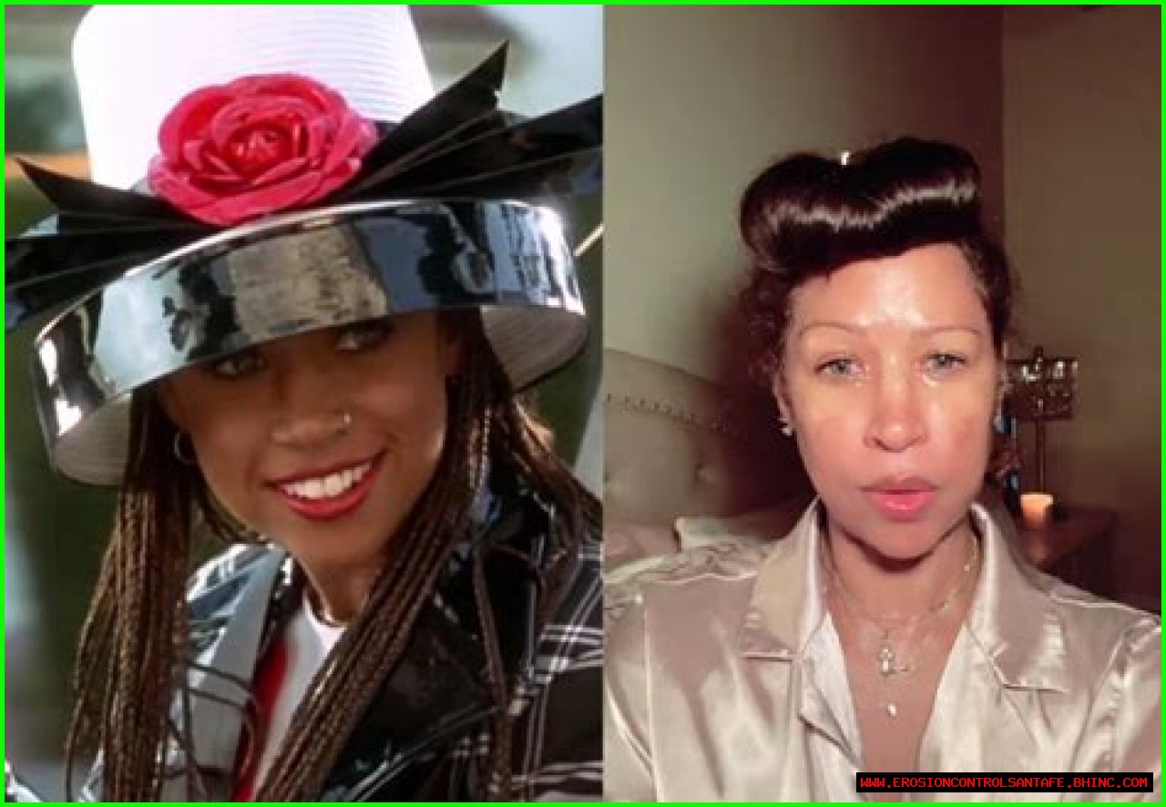 Did Stacey Dash Bleach Her Skin? Here Are Before And After Pictures After What Seems Like Skin Lightening