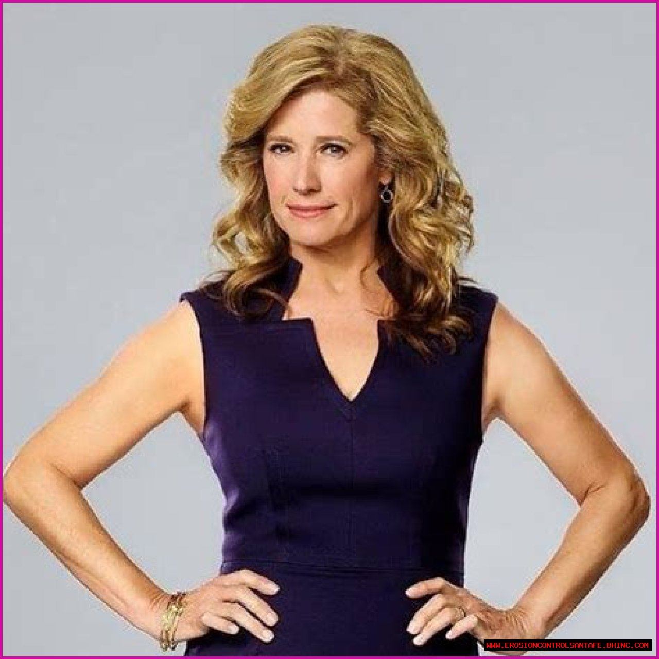From Stage to Screen: Nancy Travis and Her $20 Million Net Worth Journey