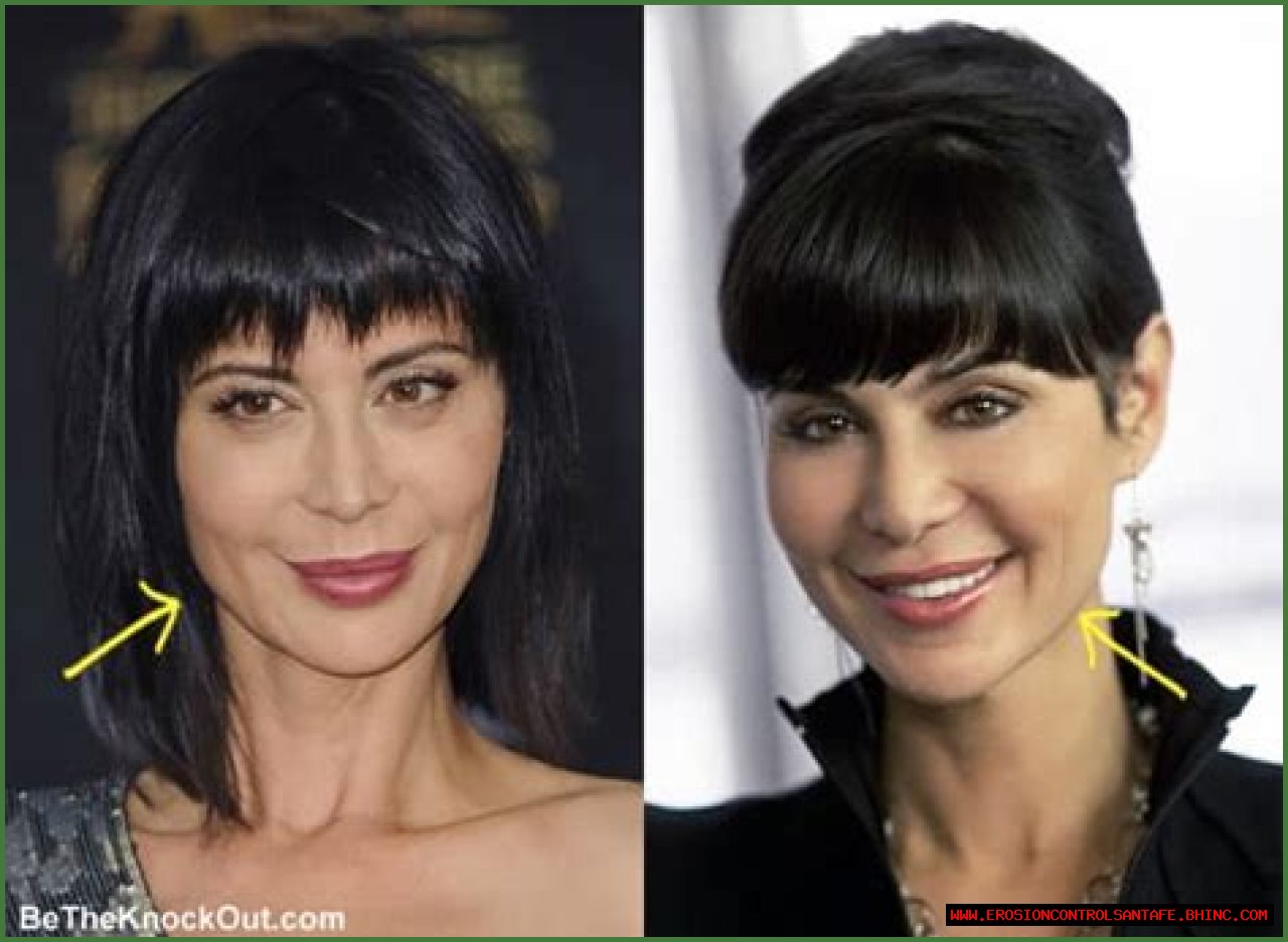 Has Catherine Bell Had Plastic Surgery? Who is Catherine Bell?