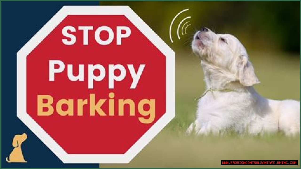 How to stop s puppy from barking?