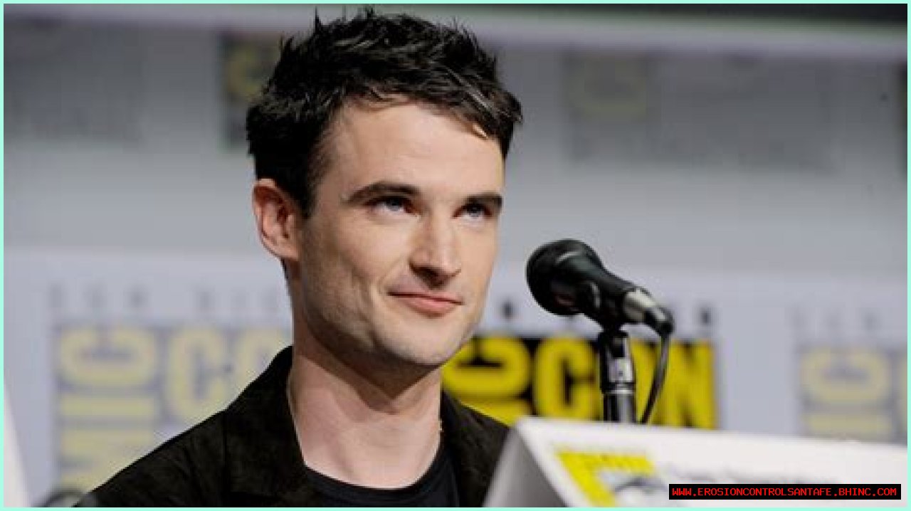 How Tom Sturridge Became One of the UK's Best New Actors