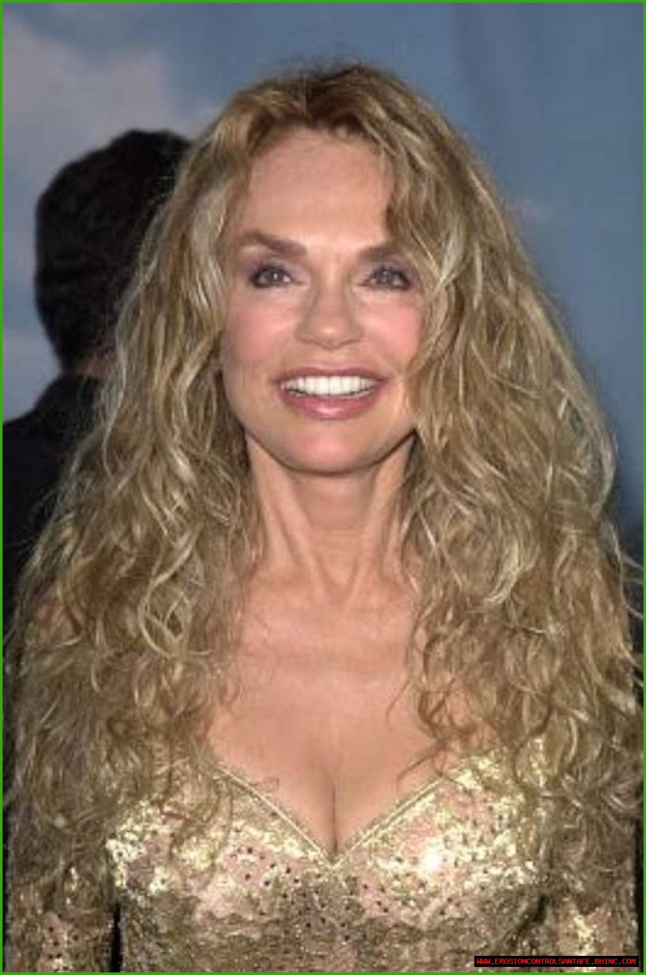 Is Dyan Cannon Still Alive? How Old Is Dyan Cannon?