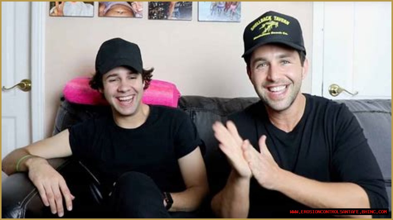 Josh Peck deletes all trace of David Dobrik from his Instagram amid controversy