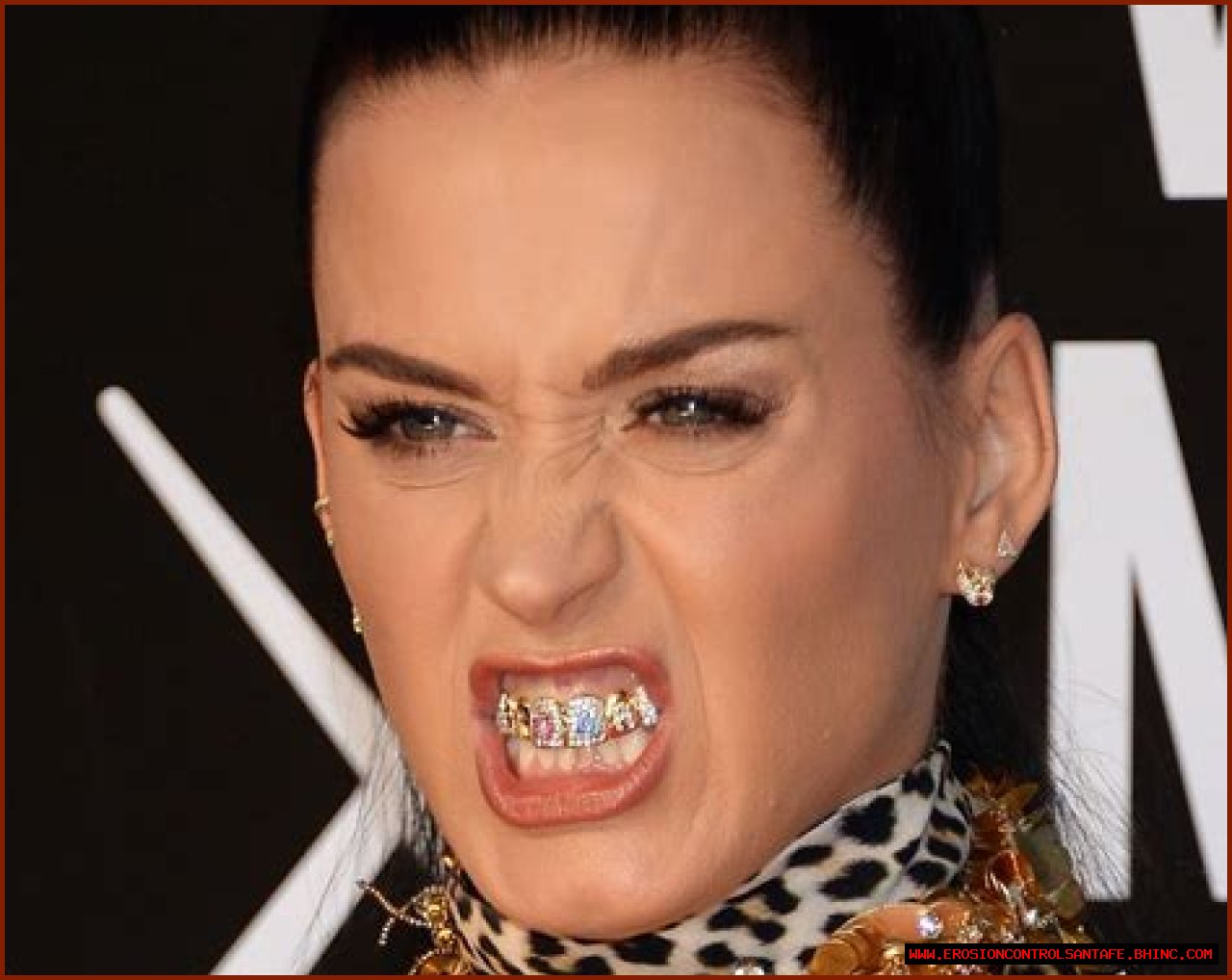 Katy Perry's Teeth Grill From Her 'Dark Horse' Video Holds a Guinness World Record