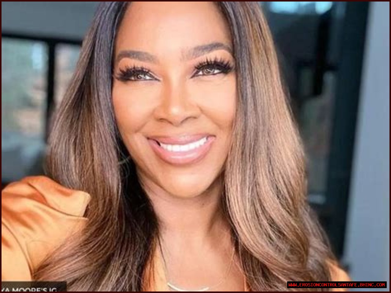 Kenya Moore Net Worth – How Much is Moore Worth?