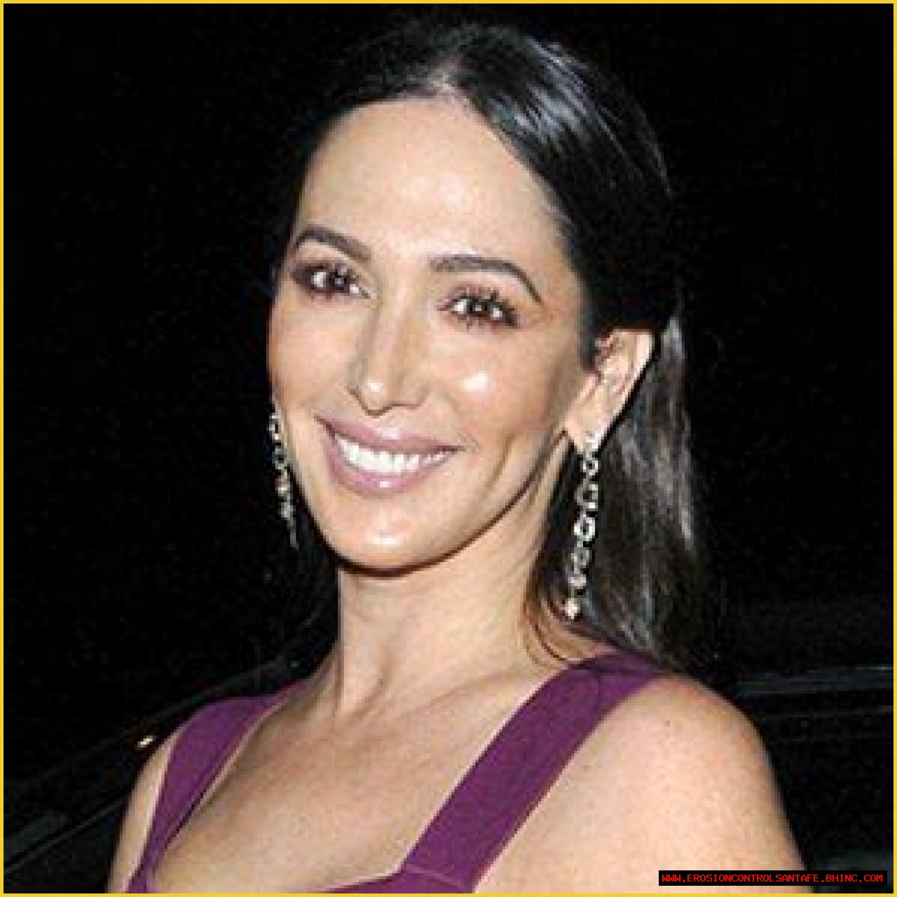 Lauren Silverman Net Worth, Age, Height, Bio, Birthday, Wiki!