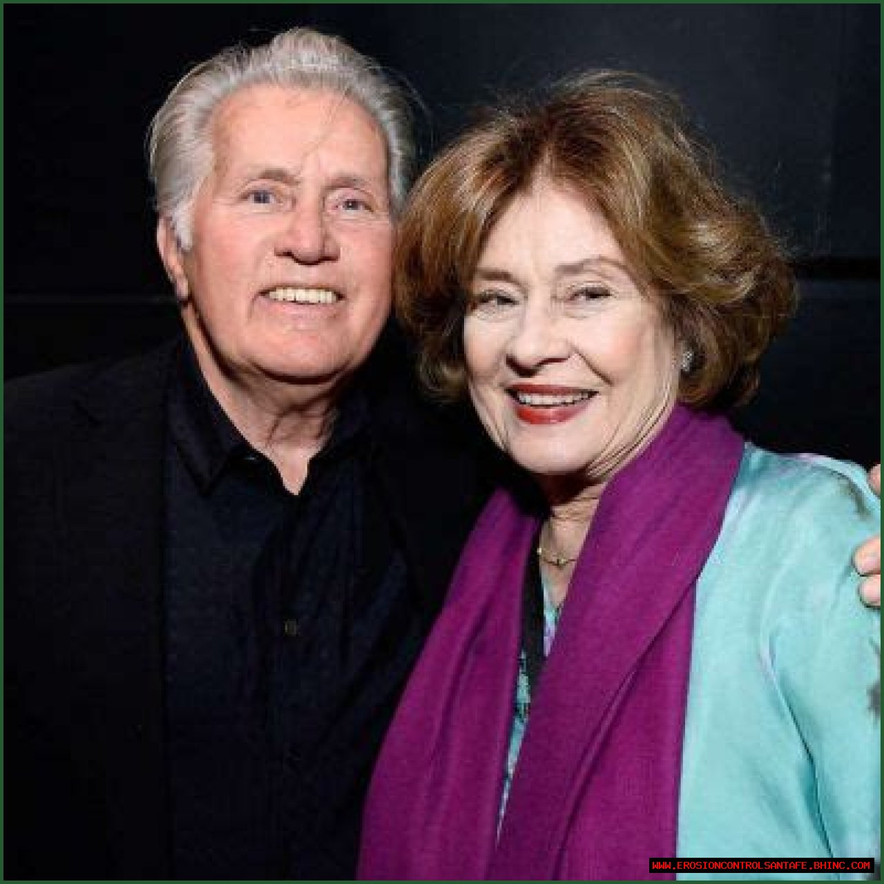 Martin Sheen Net Worth | How Wealthy Is He | Explore His Acting Career
