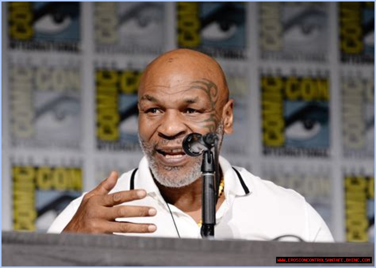 Mike Tyson Net Worth 2023, Biography, Age, Early Life, Family, Ethnicity, Nationality, Career