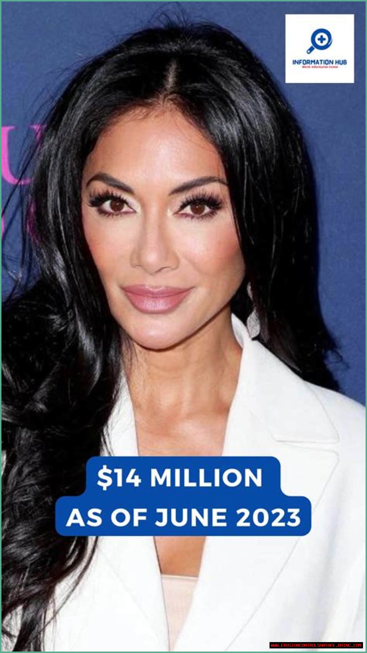 Nicole Scherzinger Net Worth in 2023 How Rich is She Now?