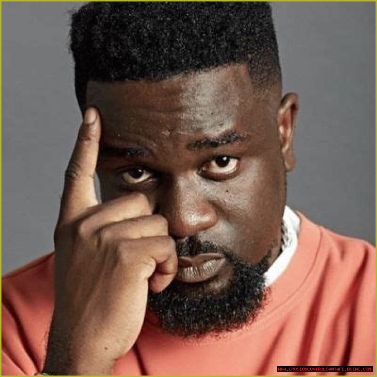 Sarkodie- Wiki, Age, Wife, Net Worth, Ethnicity