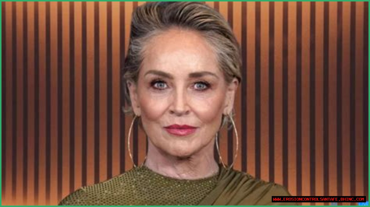 Sharon Stone Net Worth in 2023 How Rich is She Now?