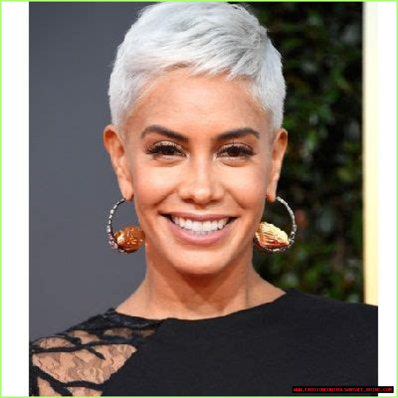 Sibley Scoles - Bio, Age, Net Worth, Salary, Height, In Relation, Nationality, Body Measurement, Career
