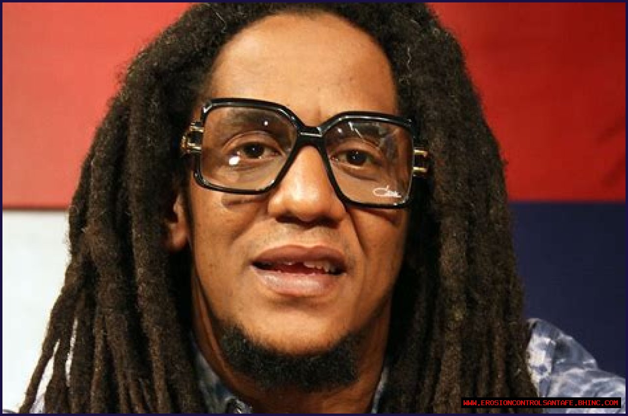 Tego Calderón Net Worth, Income, Salary, Earnings, Biography, How much money make?