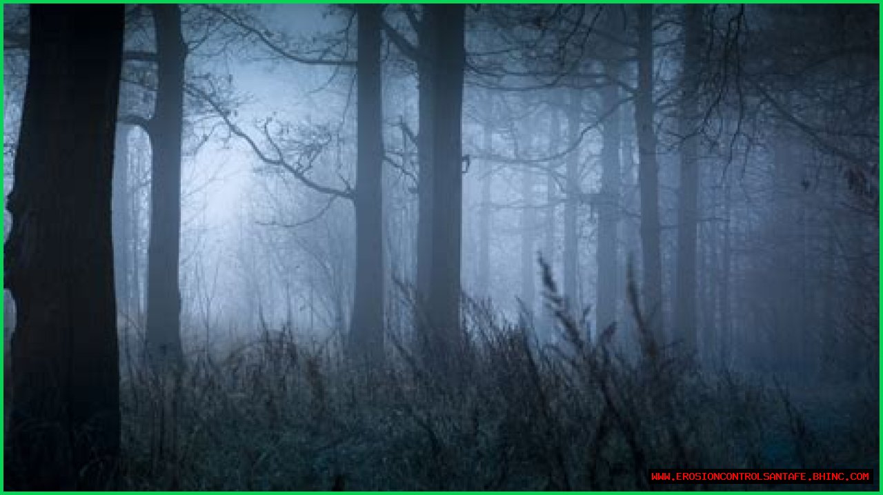 The Bizarre Legend Of The New England Cryptid, The Egopantis