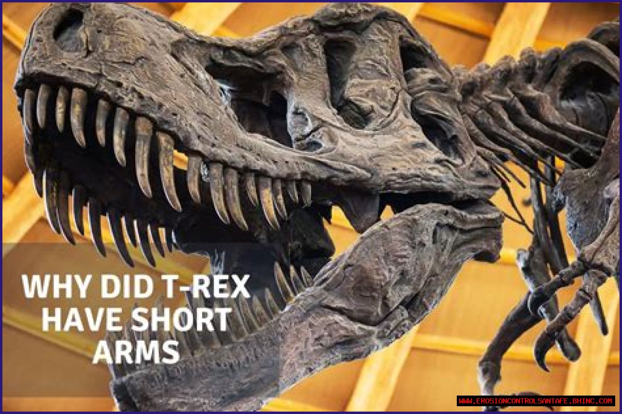 Uncover The Secrets Of T-Rex Arms: Insights And Discoveries