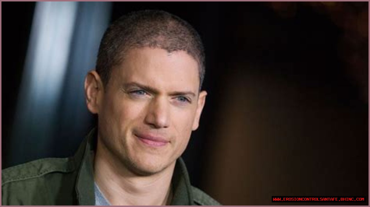 Wentworth Miller Net Worth in 2023 How Rich is He Now?