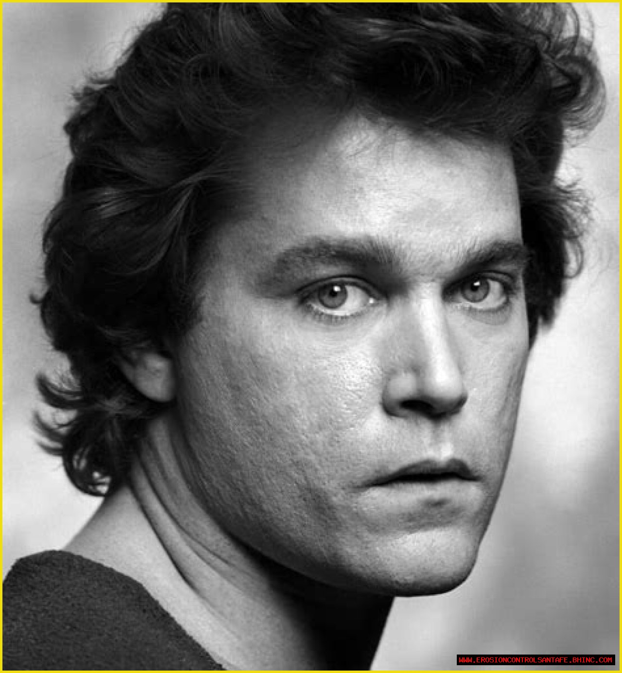 What Disease Does Ray Liotta Have? A Look at the Late Actor’s Health and Legacy