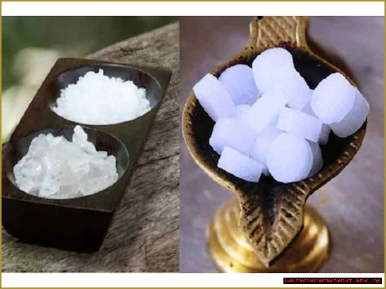 What is camphor wood used for?